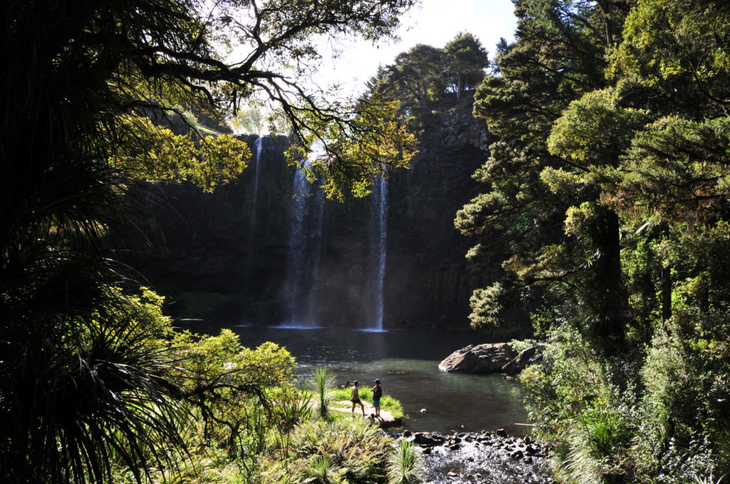 Whangarai Falls